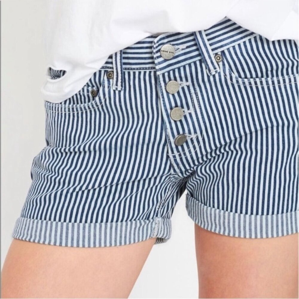 Anine Bing Blue & White Striped Denim Shorts